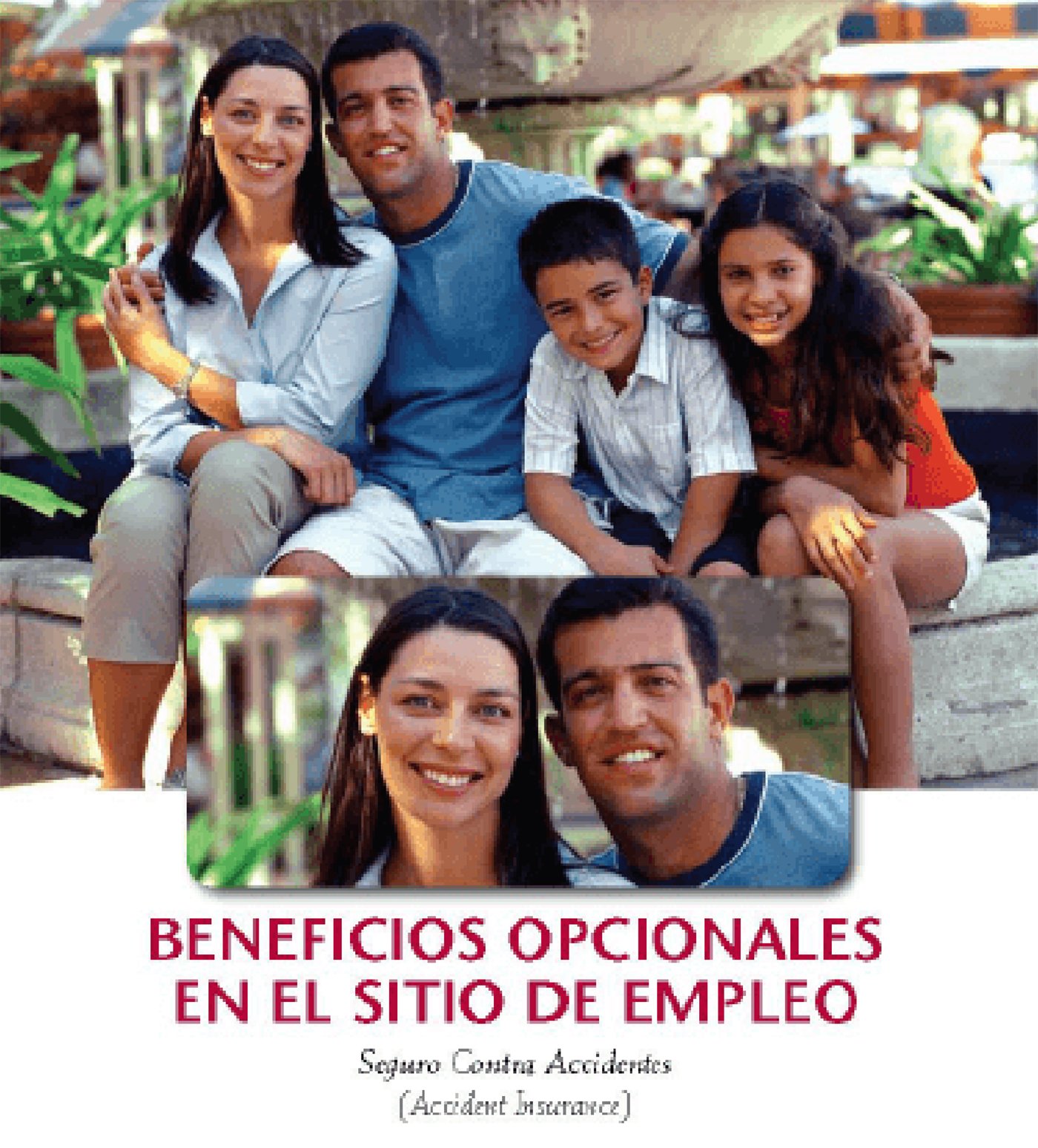 Spanish language brochure for Illinois Mutual Worksite products.