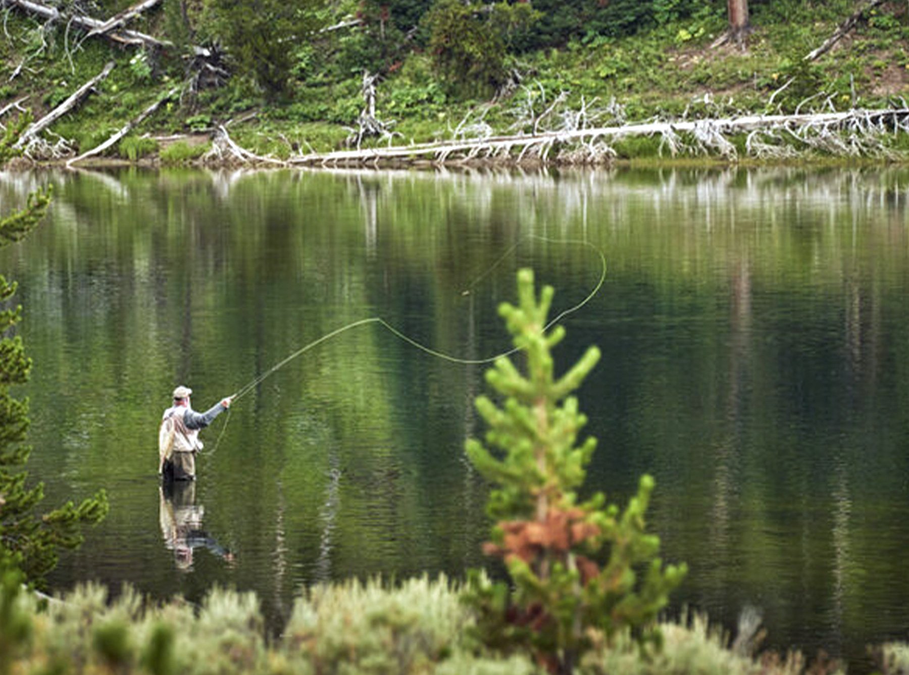 Image of a man fly fishing