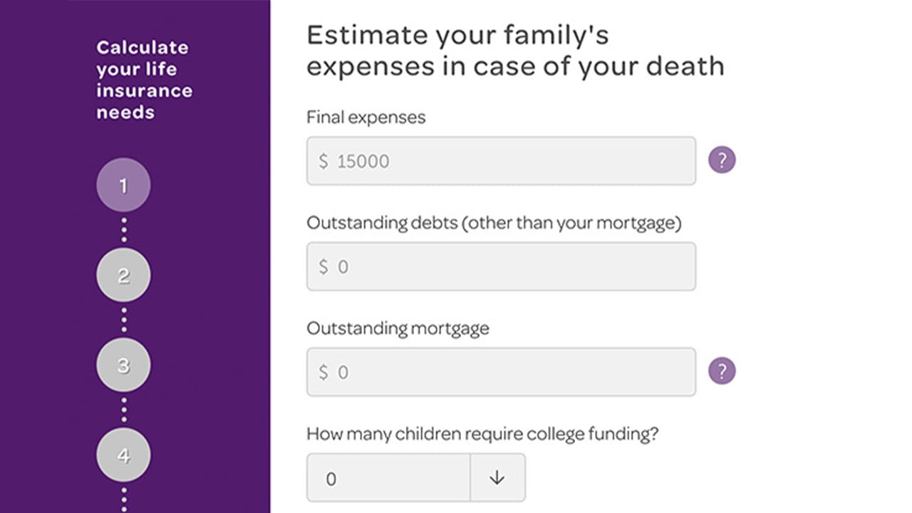 Screenshot of the Life Insurance Calculator